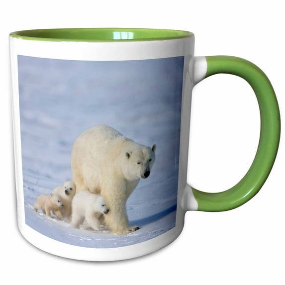 3drose, Polar Bear Family, Wapusk National Park, Manitoba Canada - Cn03 Ksu0008 - Keren Su, 15oz Two-tone Green Mug