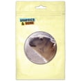 thumbnail image 1 of Polar Bear Refrigerator Button Magnet, 1 of 2