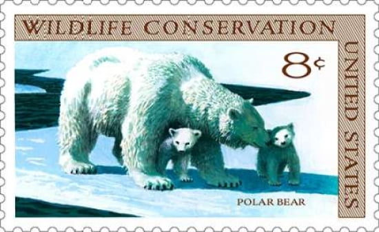 Polar Bear and Cubs Canvas Art - US POSTAL SERVICE (24 x 36)