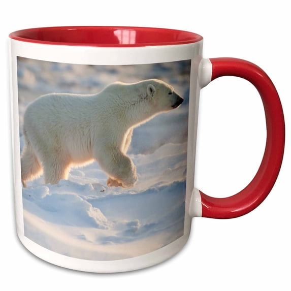 Polar Bear in snow, Churchill Management Area, Churchill, MB Canada 15oz Two-Tone Red Mug mug-207584-10