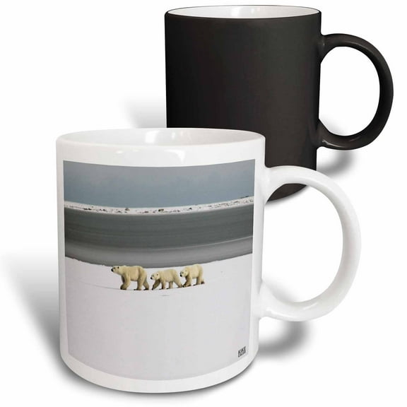 3drose, Polar Bears, 11oz Magic Transforming Mug