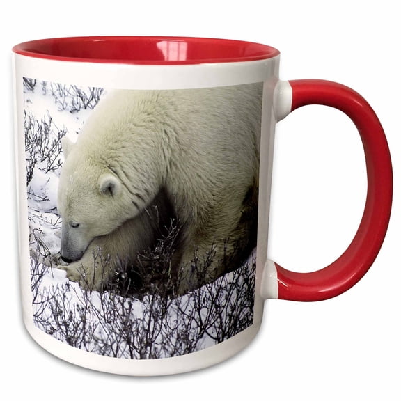 3drose, Polar Bears, 15oz Two-tone Red Mug