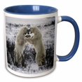 thumbnail image 1 of 3drose, Polar Bears Fighting, 11oz Two-tone Blue Mug, 1 of 6