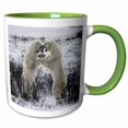 thumbnail image 1 of 3drose, Polar Bears Fighting, 11oz Two-tone Green Mug, 1 of 6