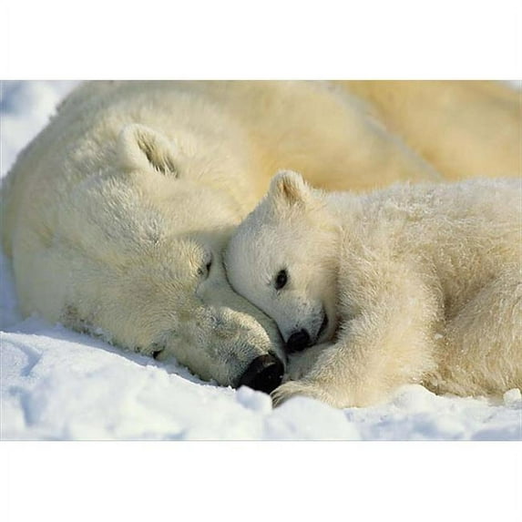 Polar Bears Wall Mural - 50 in.