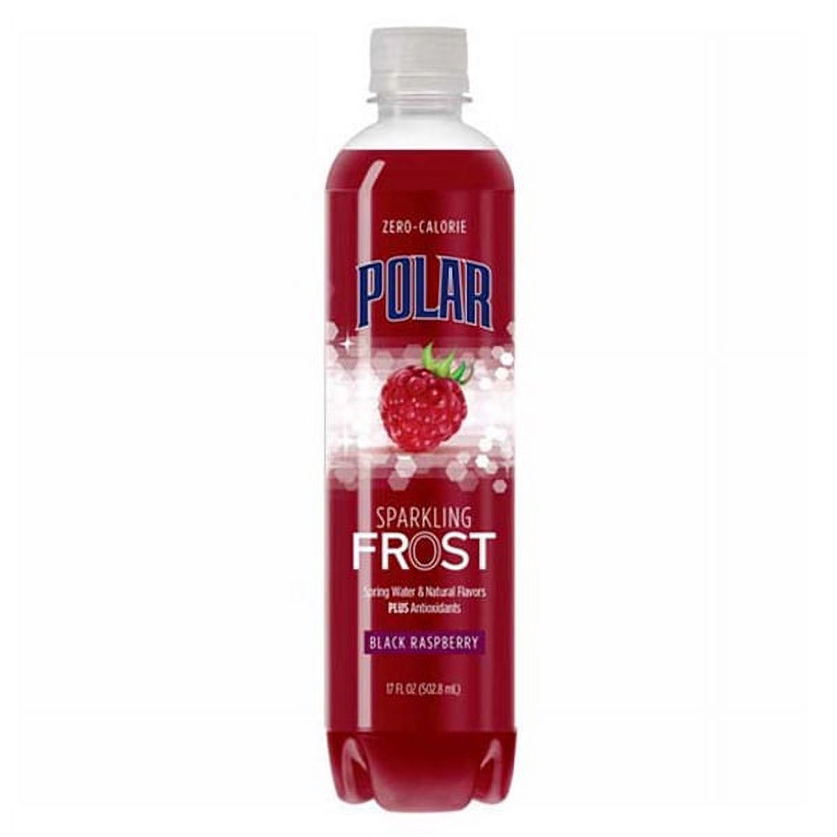 Polar Frost Black Raspberry Sparkling Water 17 oz Bottles - Pack of 12