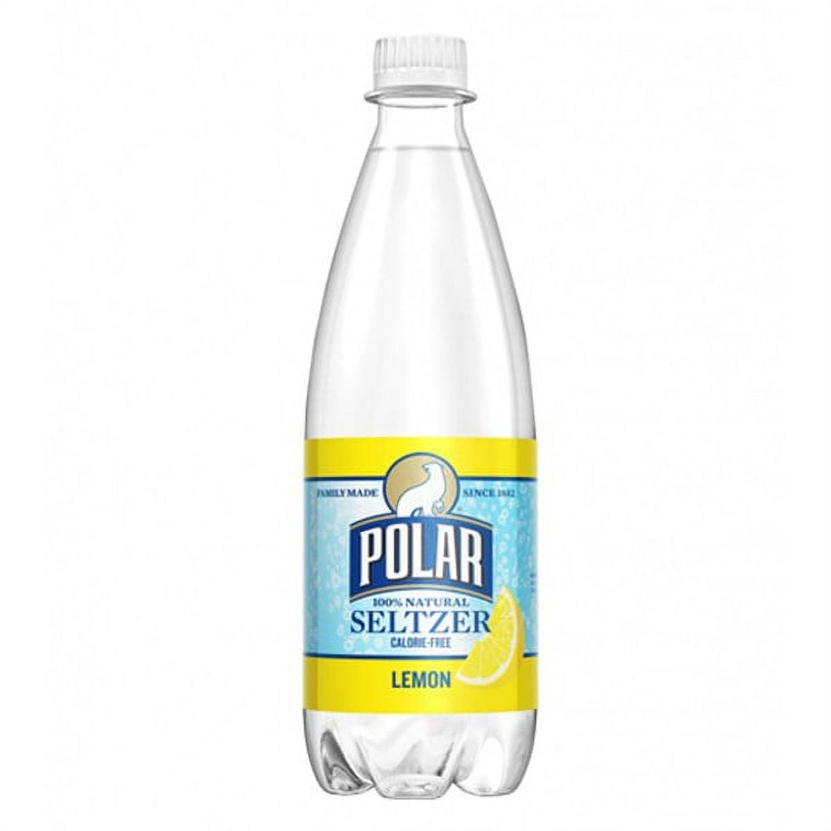Polar Lemon Seltzer 20 oz Plastic Bottles - Pack of 24