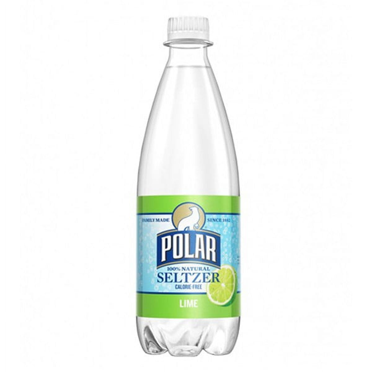 Polar Lime Seltzer 20 oz Plastic Bottles - Pack of 24