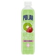 Polar Sparkling Frost Water, Strawberry Kiwi Liquids, 17 oz