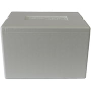 Polar Tech 205C Thermo Chill Insulated Carton with Foam Shipper, Small, 6 Length x 5 Width x 6-1/2 Depth Case of 2