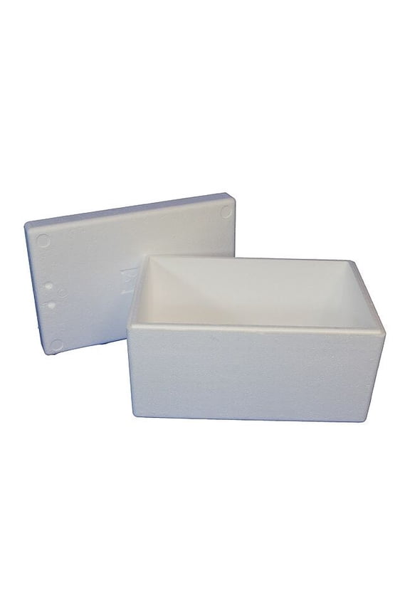 Insulated Overnight Shipping Foam & Carton, 1-2 Day ON36C