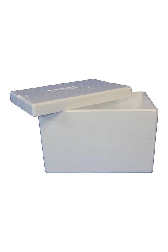 Insulated Overnight Shipping Foam & Carton, 1-2 Day, Length: 22-3/4" ON50C