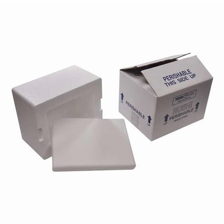 Insulated Shipping Bio Foam & Carton, 1-5 Day, Width: 9-1/2", 4PK 209C