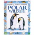 thumbnail image 1 of Pre-Owned Polar Wildlife (Usborne World Wildlife) (Paperback) 0746009380 9780746009383, 1 of 1