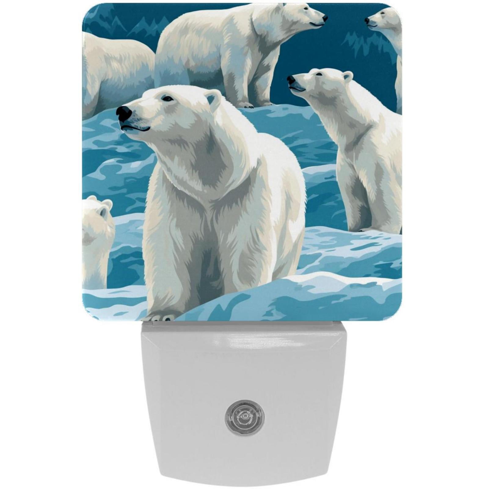 Polar bear LED Square Night Lights Energy Efficient & Elegant