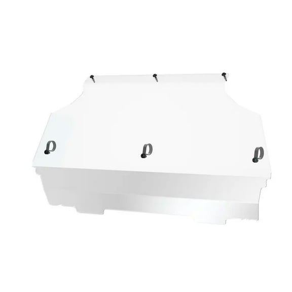 Polaris 2889777 Rear Poly Panel 2022-2023 RZR 200 EFI