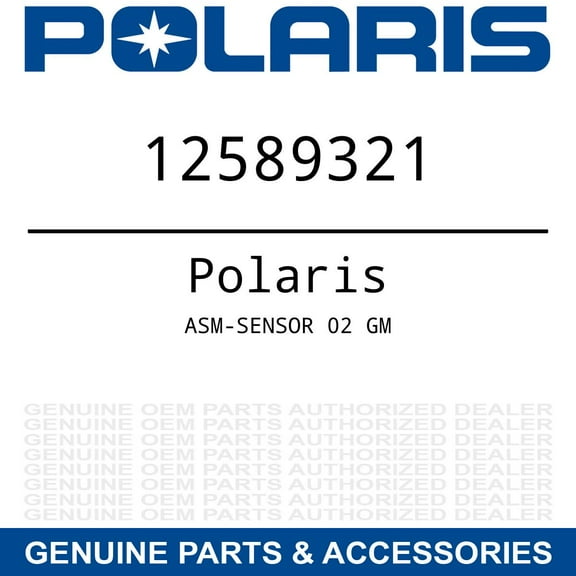 Polaris Slingshot Sensor Assembly, GM, Genuine OEM Part 12589321, Qty 1