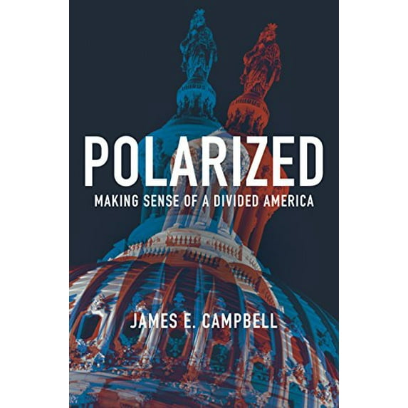 Pre-Owned Polarized: Making Sense of a Divided America (Hardcover) 0691172161 9780691172163
