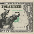thumbnail image 1 of Polarized Polarized: Volume 1, Book 1, (Paperback), 1 of 1