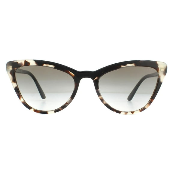 Polaroid Blue Others Sunglasses