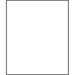 Polaroid Pro Studio White Premium Muslin Backdrop (10' x 16.5')