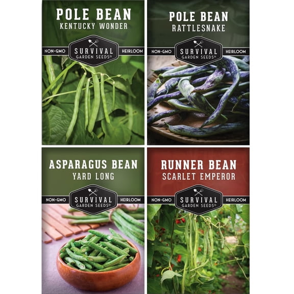 Pole Bean Seeds 4 Pack - Heirloom Full Sun Annual Vegetables