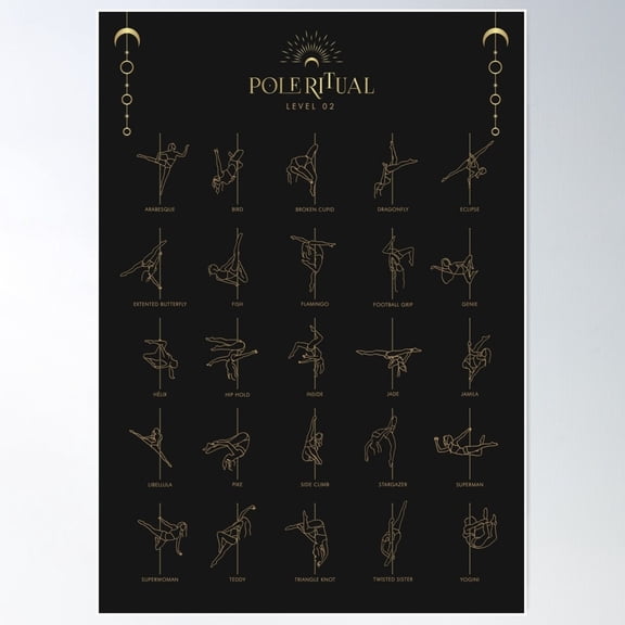 Pole Dance Level 02 Studio Training Theme Wall Art Poster UNFRAMED PAPER POSTER