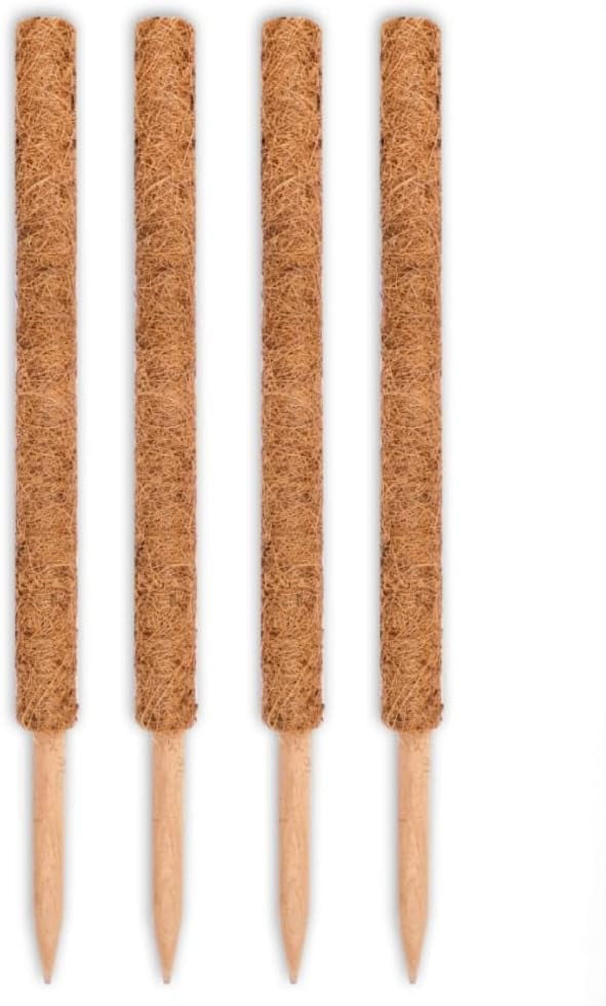 Poles Plant Support Stakes Plant Stake Pothos Coir Totem Pole Monstera