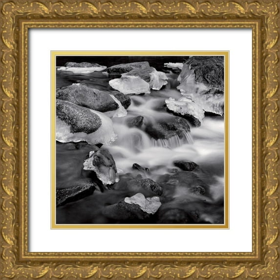 Poli, Jean-Philippe 15x15 Gold Ornate Wood Framed with Double Matting Museum Art Print Titled - Castagniccia II