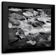 thumbnail image 1 of Poli, Jean-Philippe 20x20 Black Modern Framed Museum Art Print Titled - Castagniccia II, 1 of 5