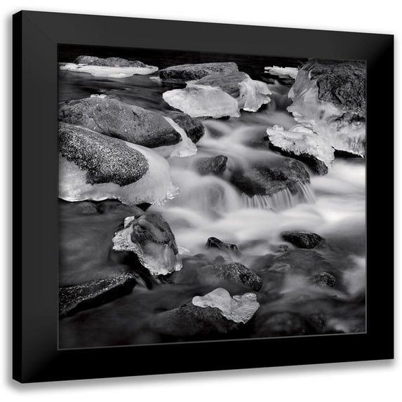 Poli, Jean-Philippe 20x20 Black Modern Framed Museum Art Print Titled - Castagniccia II