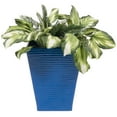 thumbnail image 1 of PoliVaz Modern Square Planter, Blue, Large, 1 of 5