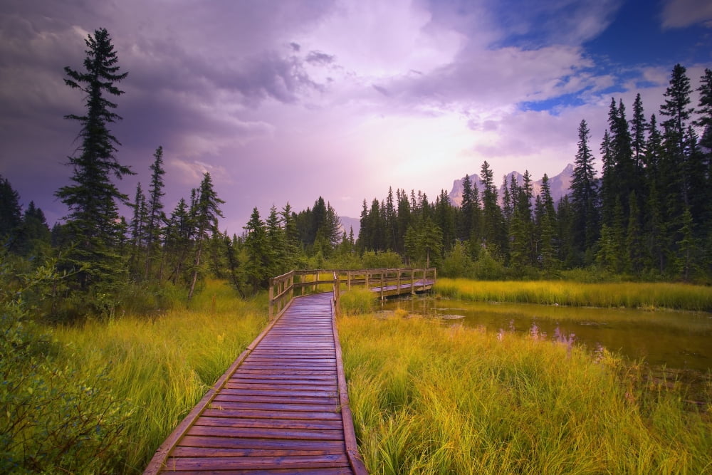 Policemans Creek Alberta Canada Canvas Art - Carson Ganci Design Pics (17 x 11)