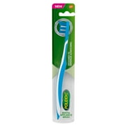 Polident Dental Appliance and Denture Brush, 1 Count, for Adults