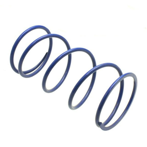Polini Torque Spring for Zuma 125