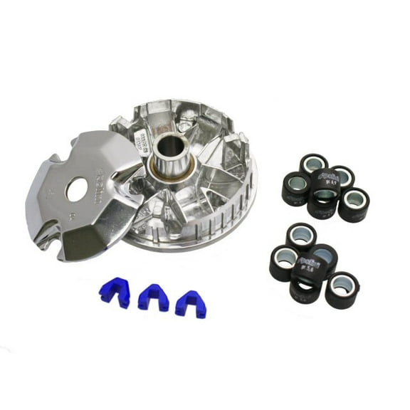 Polini Variator Kit for Honda Ruckus