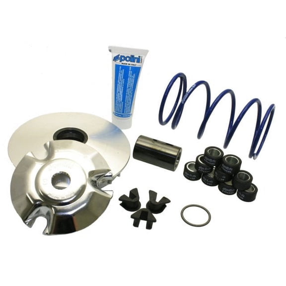 Polini Variator Kit for Vespa GTS