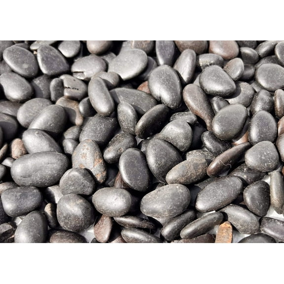 Polished Black Pebbles 1/4-3/4 for Gardens, Fish Tanks, Succulents, Decor & More Size: 2.5 LBS