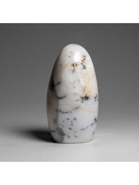 Polished Dendritic Agate Freeform from Madagascar (.7 lbs)