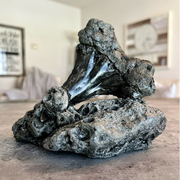 Polished Fossil Shark Tooth Sculpture