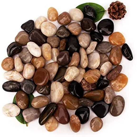 Polished Mixed Color River Rock Aquarium and Terrarium Substrate