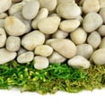 thumbnail image 1 of Polished Pebbles, Decorative River Rock & Garden Gravel for Planters, 1 of 6