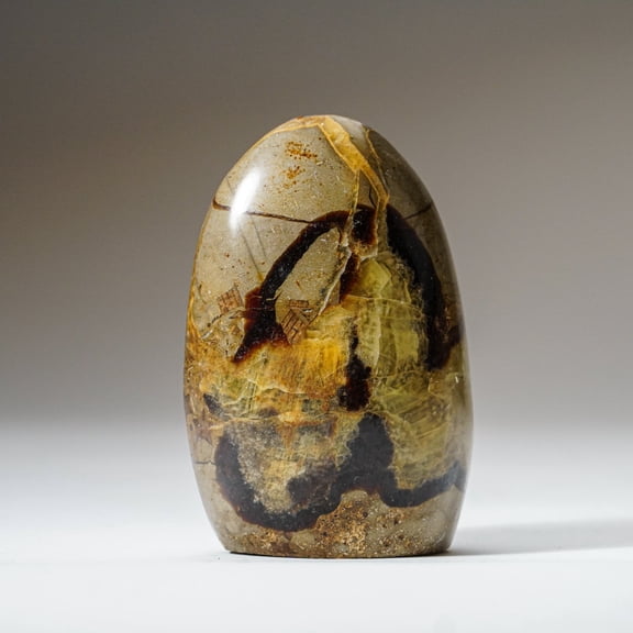 Polished Septarian Freeform from Madagascar (1.2 lbs)