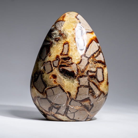 Polished Septarian Freeform from Madagascar (2.3 lbs)