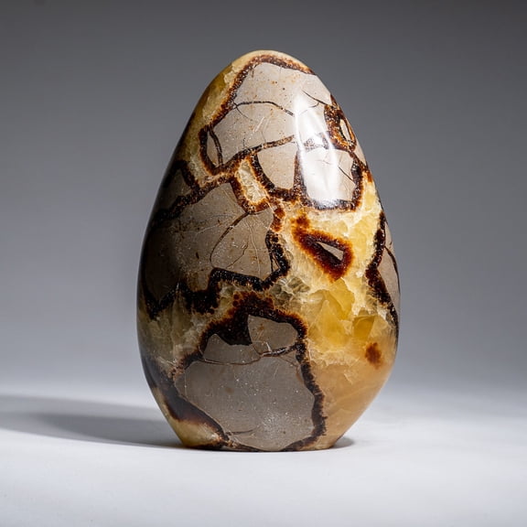 Polished Septarian Freeform from Madagascar (2.3 lbs)