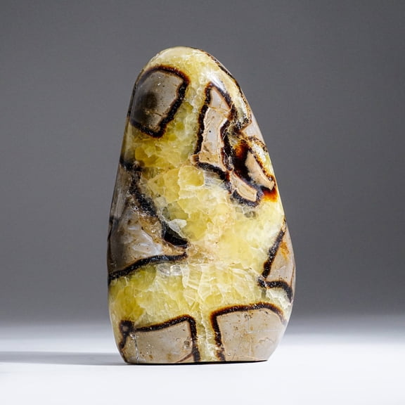 Polished Septarian Freeform from Madagascar (3.6 lbs)