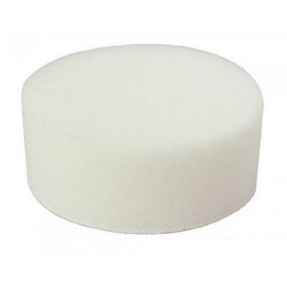 Polishing Foam Pad 3 in. Diameter White