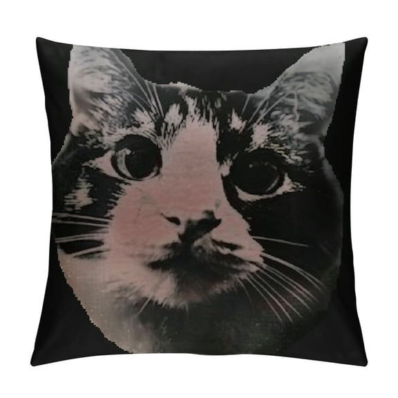 Polite Kitty Cat Funny Meme Funny Meme Animal Throw Pillow Covers Novelty Square Pillow Case Home Decorative Bedroom Couch Sofa Cushion Case