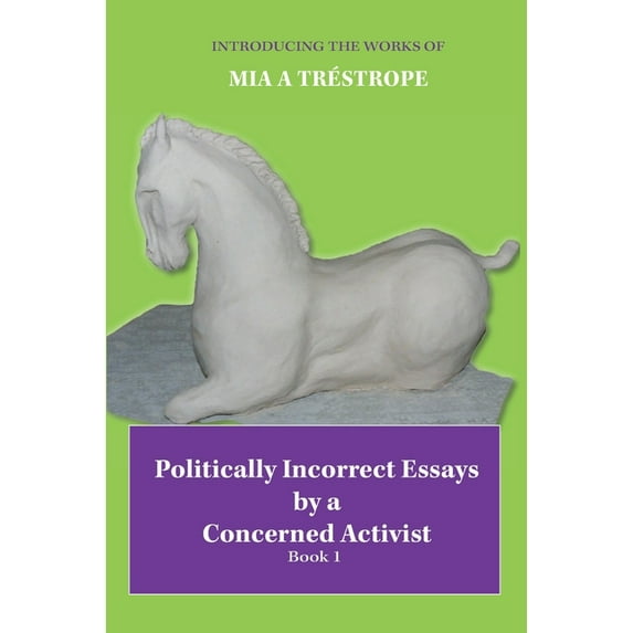 Politically Incorrect Essays by a Concerned Activist: Book 1