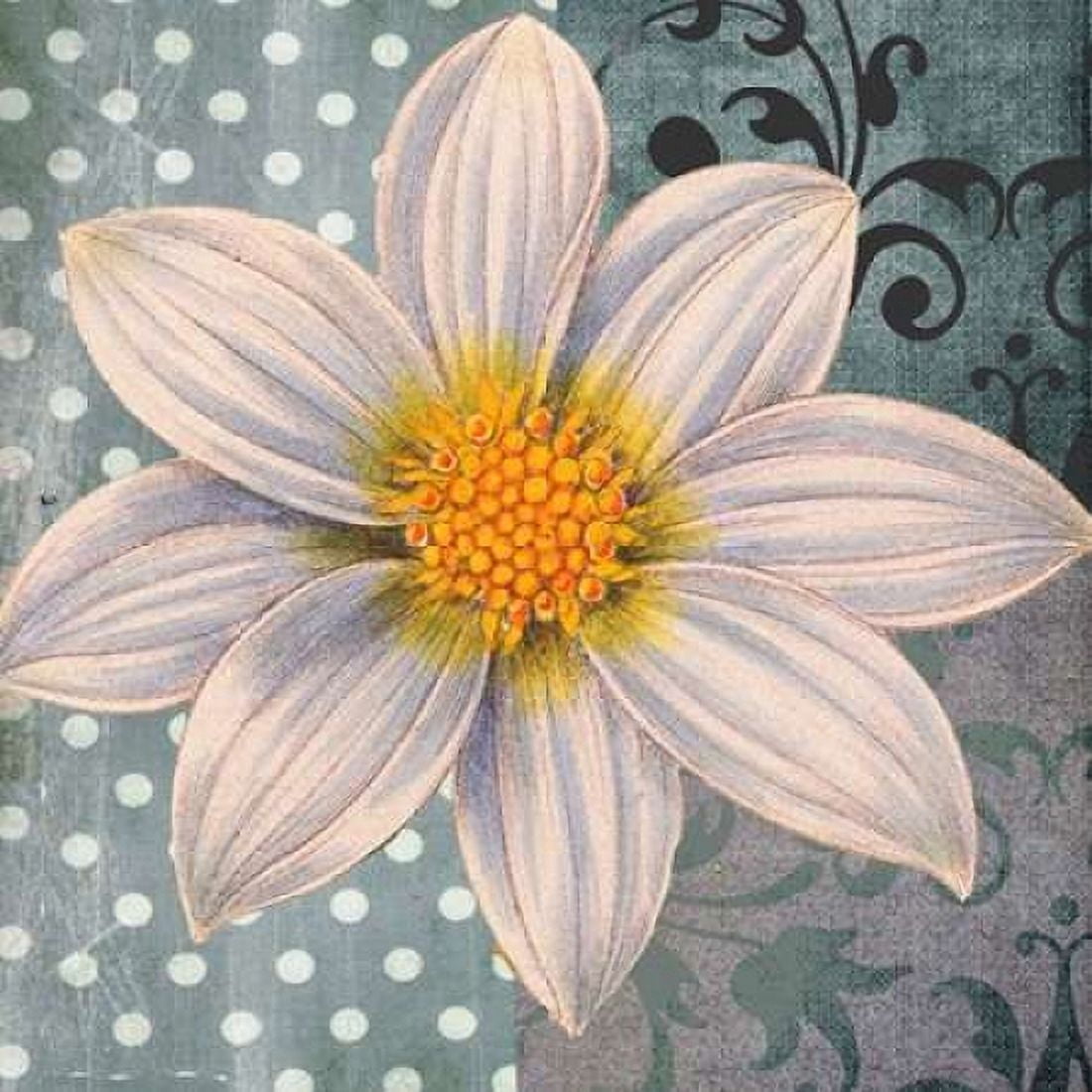 Polka Dot Dahlia 1 Canvas Art - Walter Robertson (24 x 24)